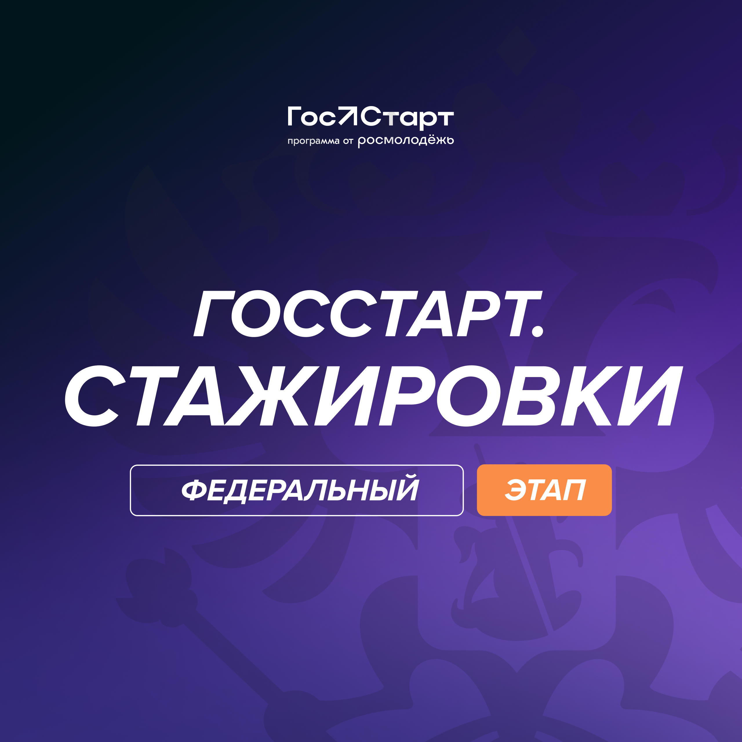 Федеральный этап стажировок в рамках направления «ГосСтарт.Стажировки».