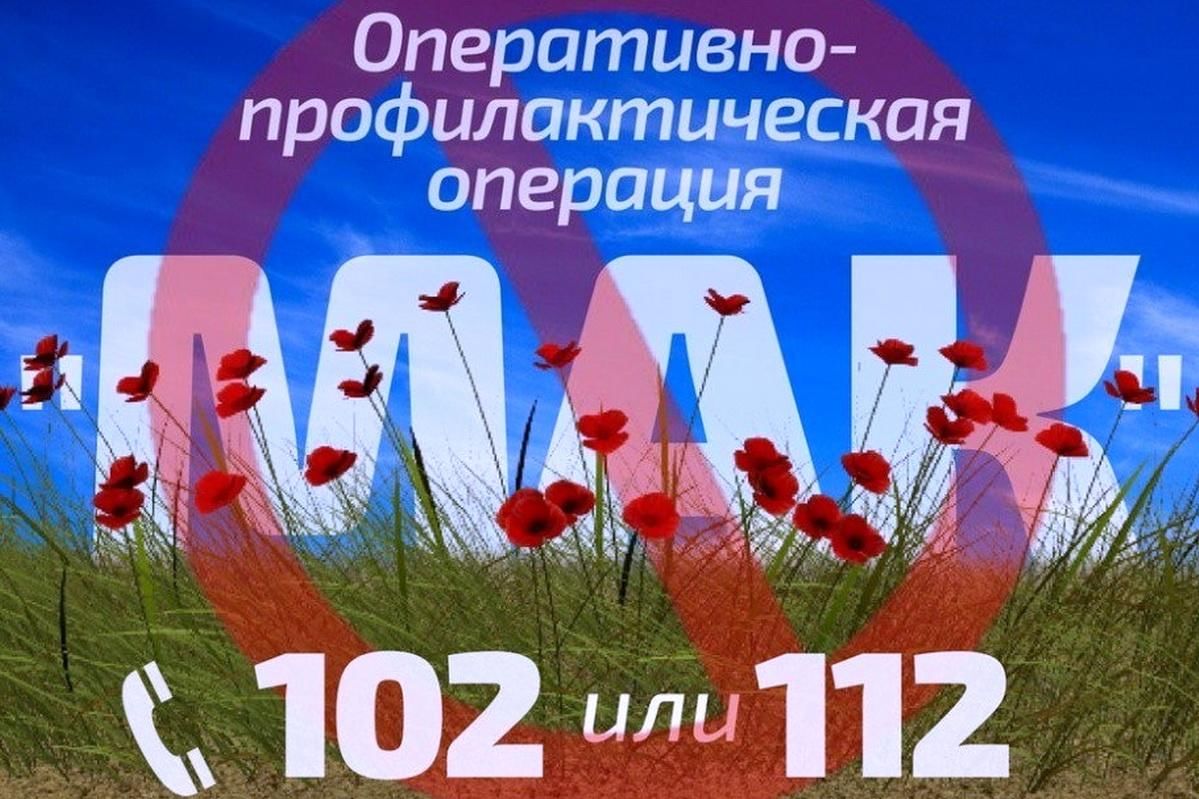 1-й этап оперативно-профилактической операции «Мак-2025».