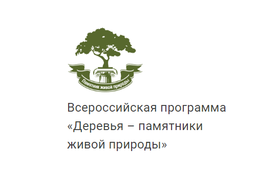 Национальный конкурс «Российское дерево года 2023».