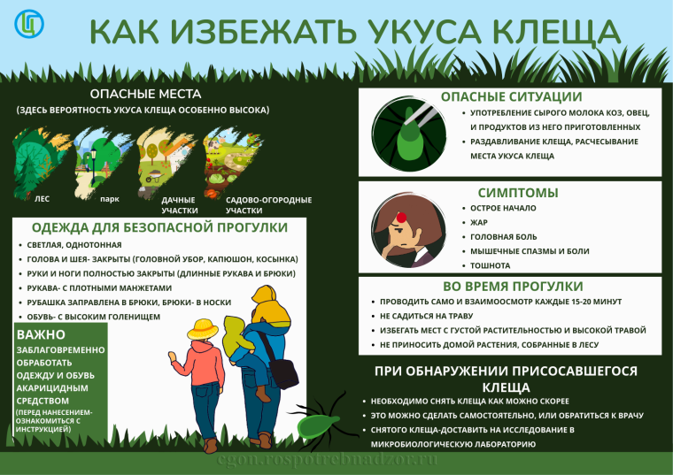 Профилактика инфекций, передающихся иксодовыми клещами. Профилактика инфекций, передающихся иксодовыми клещами.